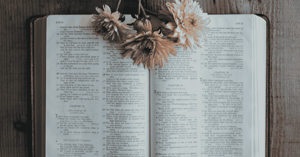Open Bible on table