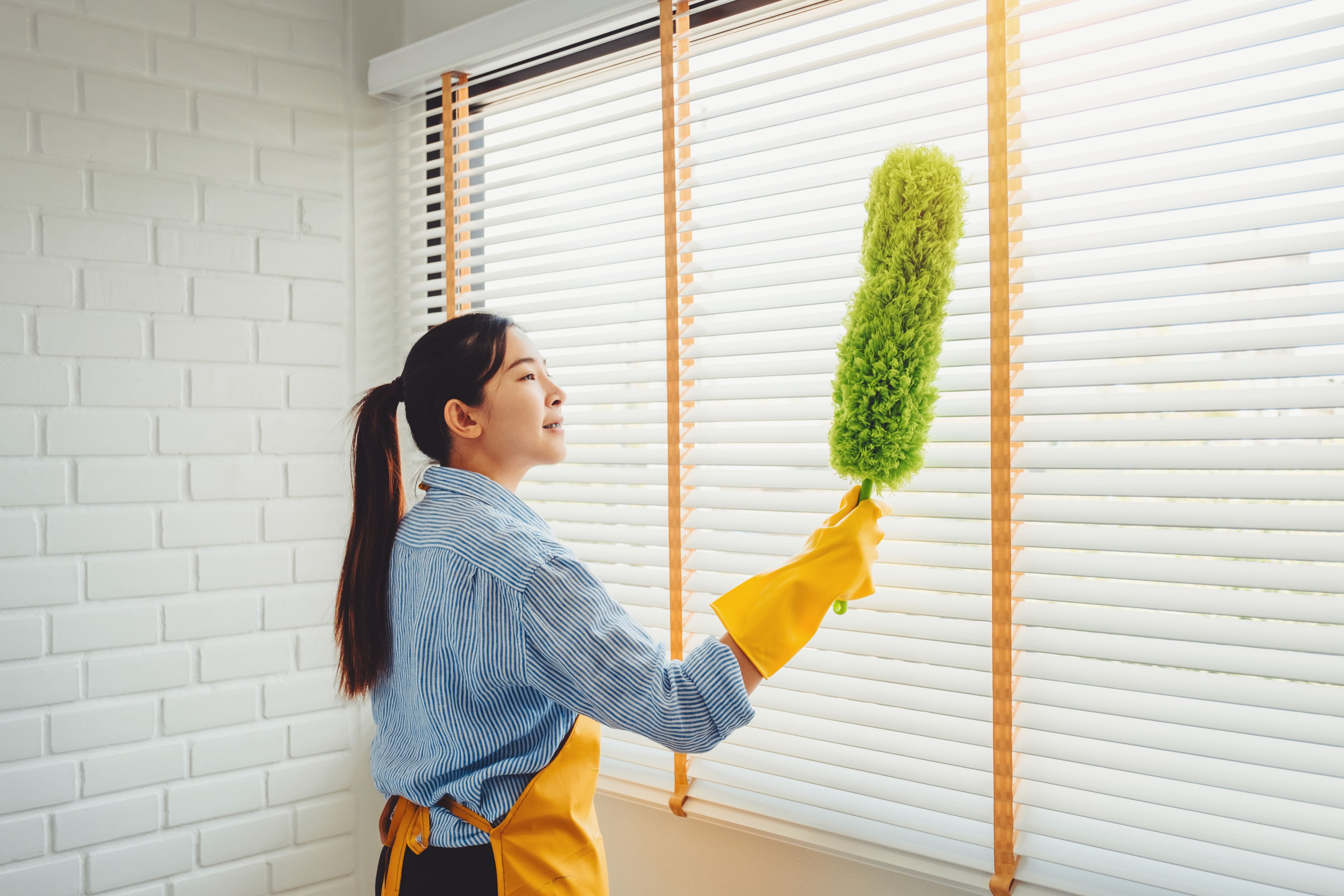 spring cleaning ideas