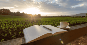 Reflecting and journaling