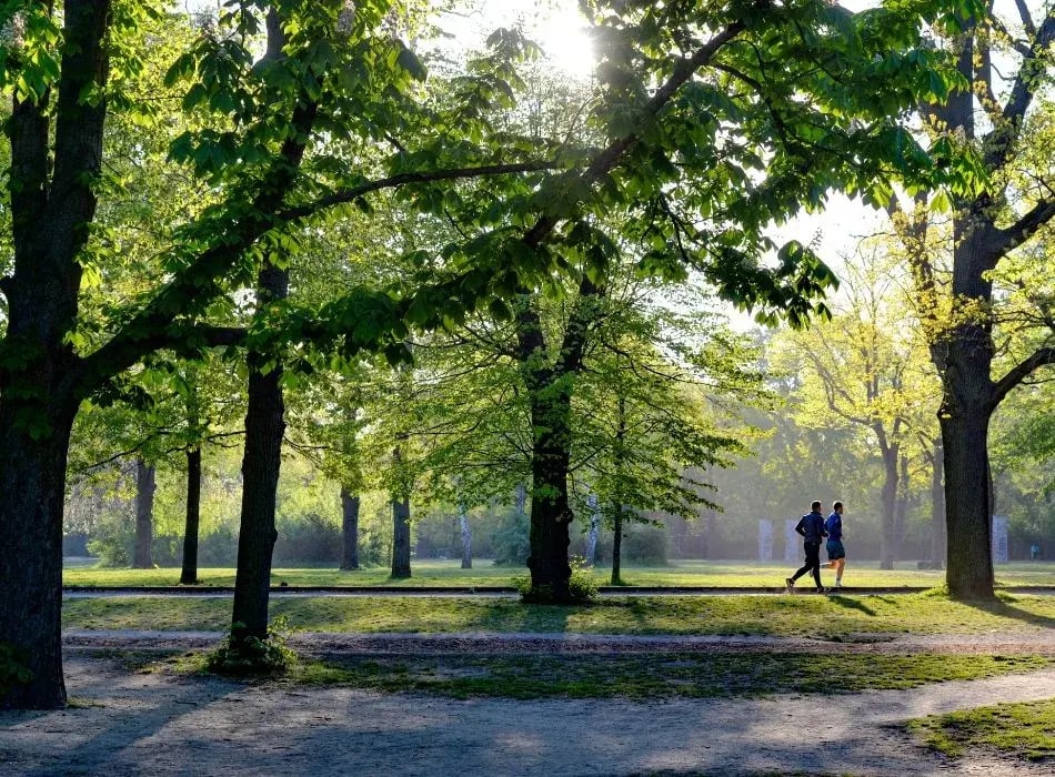people running in park