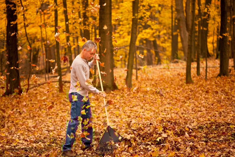 raking for health