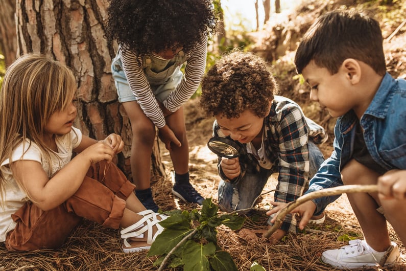 small children exploring nature